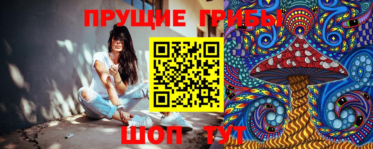 МЕФ Энгельс
